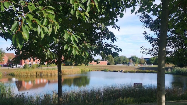 A serene park with a pond, trees, and a distant building. - Mannys Apartment - Flagship Lodge (Sittingbourne)