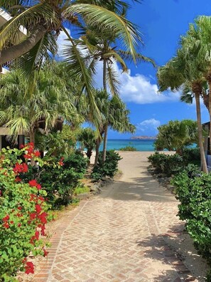 Un sentier pavé mène à une plage bordée de palmiers et parsemée de fleurs rouges.