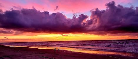 Playa en los alrededores y camastros 