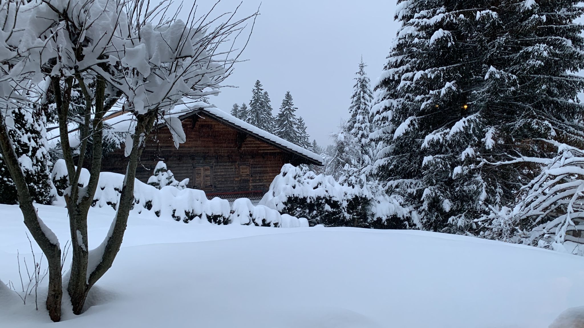 A wooden cabin surrounded by snow-covered trees.
