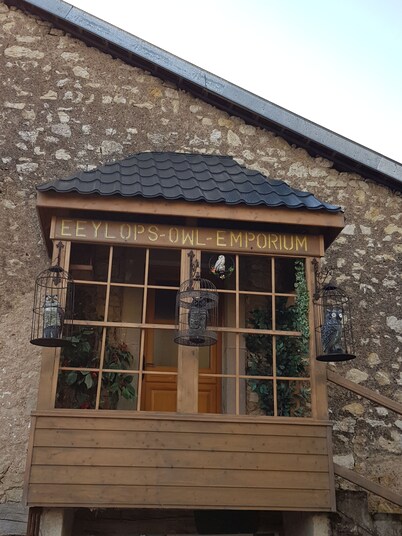 The Famous Sorcerer's Pensieve