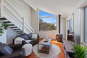 Tv, pejs, dvd-afspiller, bordfodbold