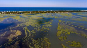 House, Multiple Beds | Beach