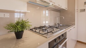 A modern kitchen with a gas stove, stainless steel appliances, and a potted plant. - VILLA ISCHIA - Villa a few meters from the sea (Torre Suda)