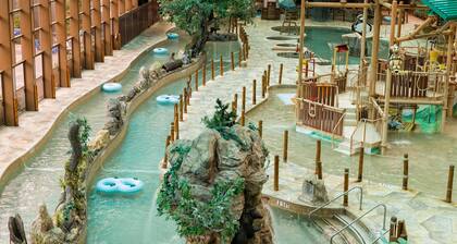 Reduced-Enjoy New Years in 2 BR lux resort, indoor waterpark & Smoky Mtn views