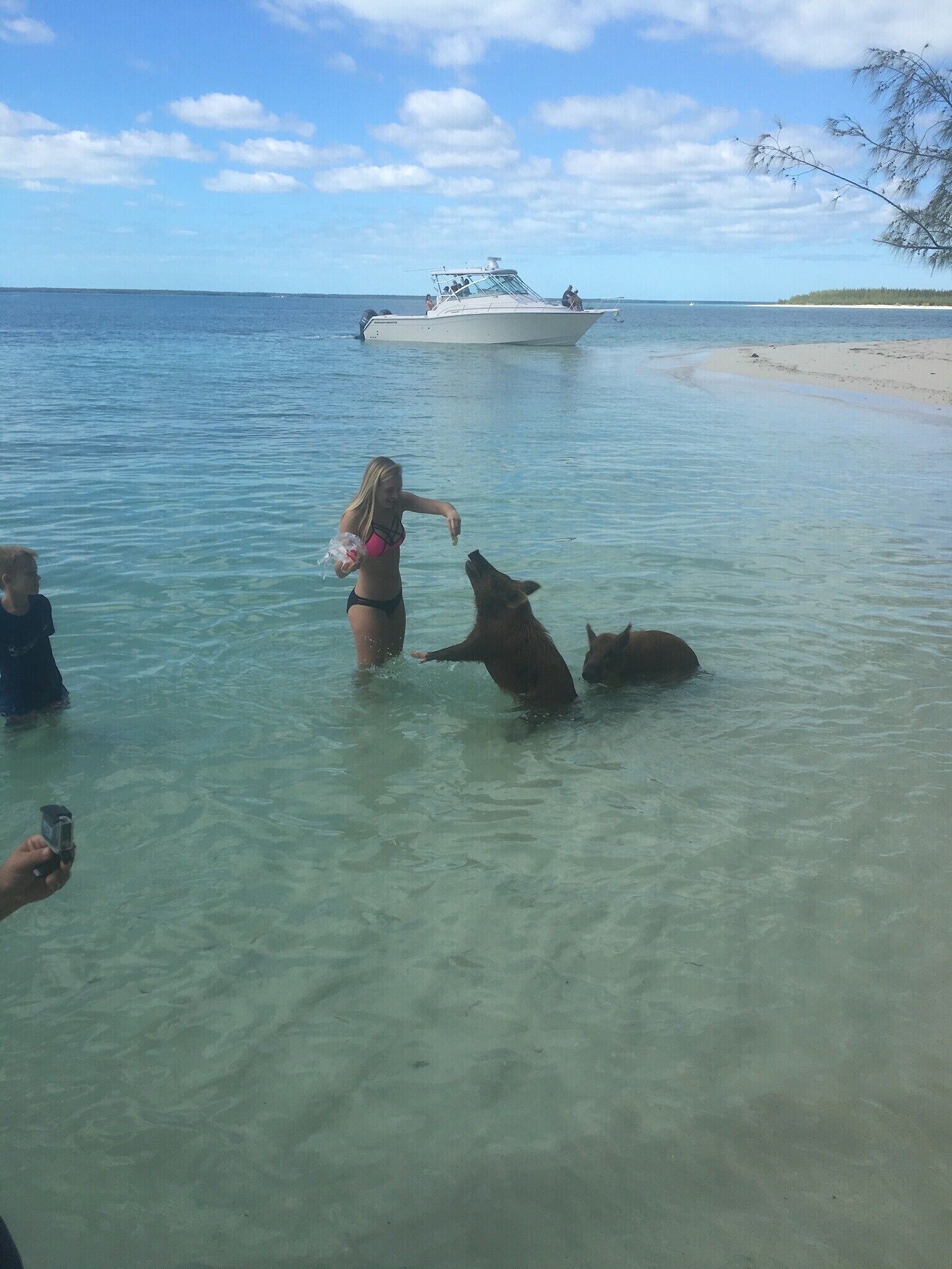 Una mujer con traje de baño interactúa con dos perros en aguas poco profundas, con un bote y una playa al fondo.