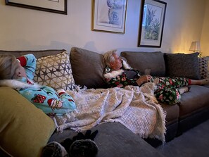 TV, fireplace - First Time Ever Rented! (Asheville)