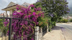Een woonwijk met een huis, een omheining met bougainvillea en een weg.