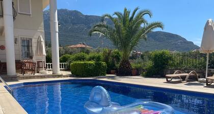 Villa near Blue Lagoon