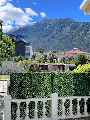 A residential area with a mountain backdrop, a modern house, and a well-maintained hedge.