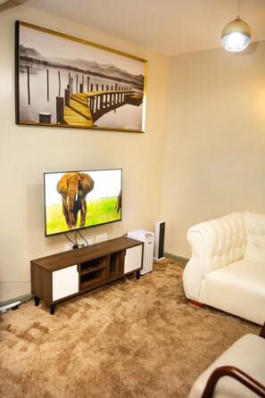 Télévision, Netflix, services de streaming