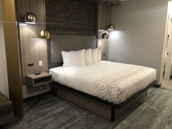 Standard Single Room | Down comforters, desk, laptop workspace, iron/ironing board - Hotel Solara Hobby Airport (Houston)