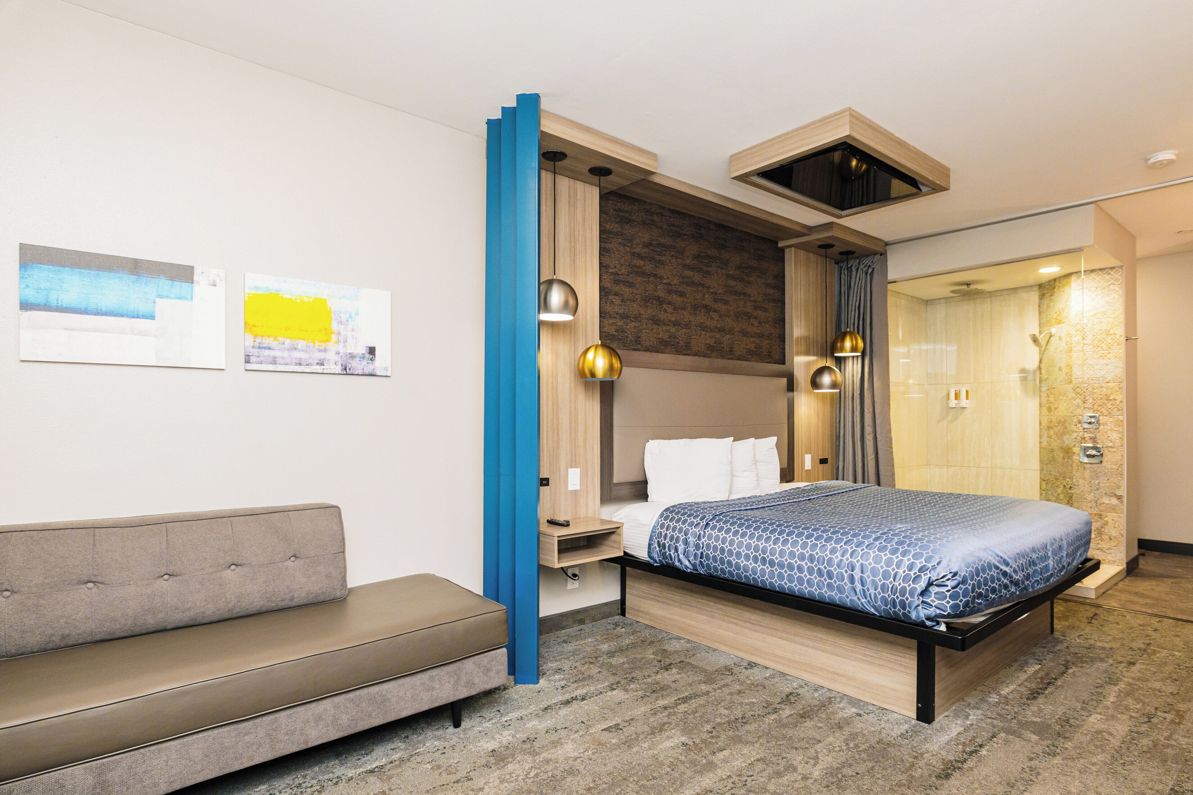 A modern hotel room with a bed, a sofa, a desk, and a shower area.