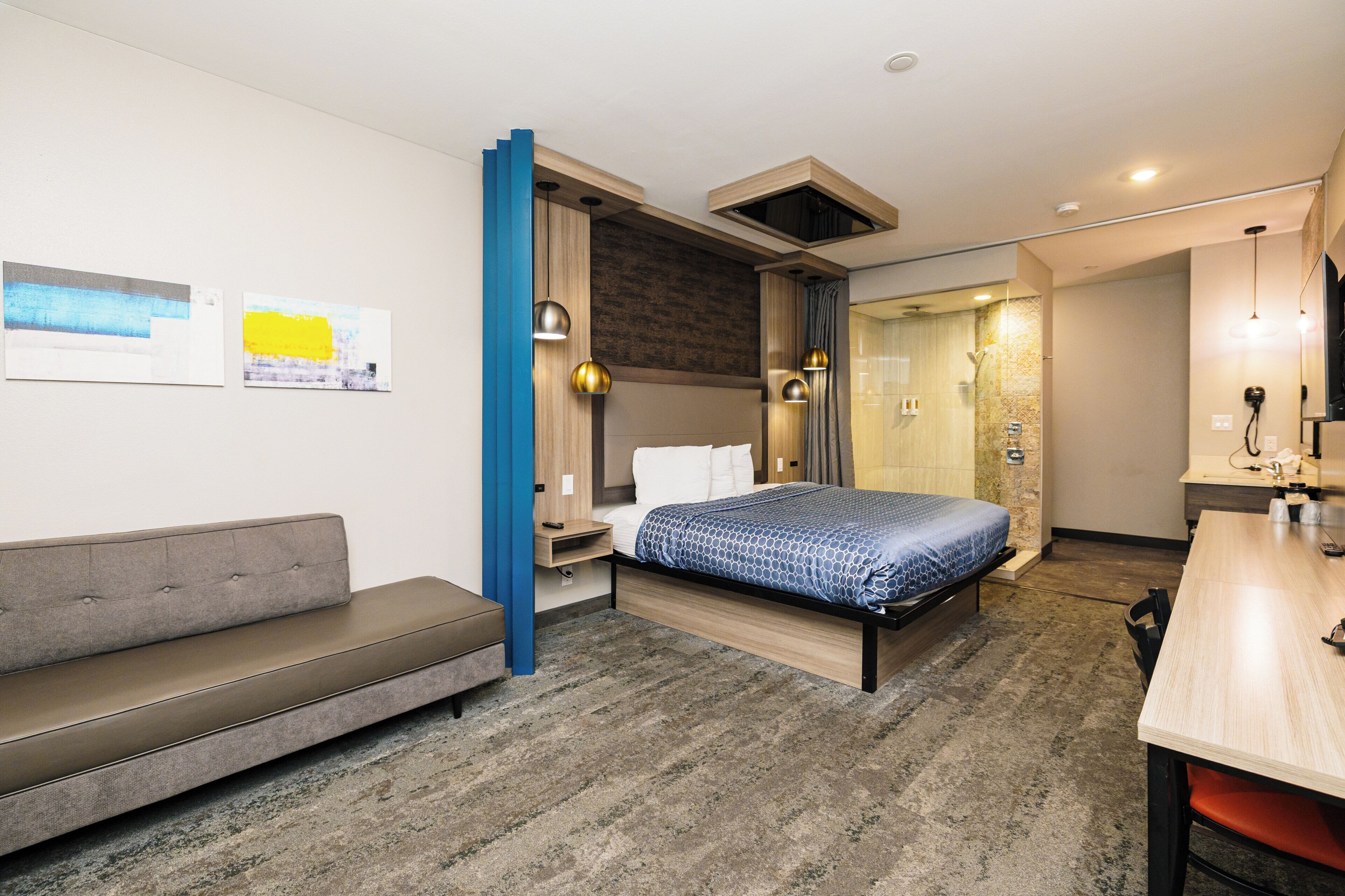 A modern hotel room with a bed, a sofa, a desk, and a shower area.