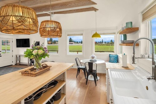 Dahlia House of Carnation