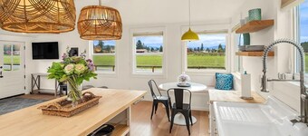 Dahlia House of Carnation