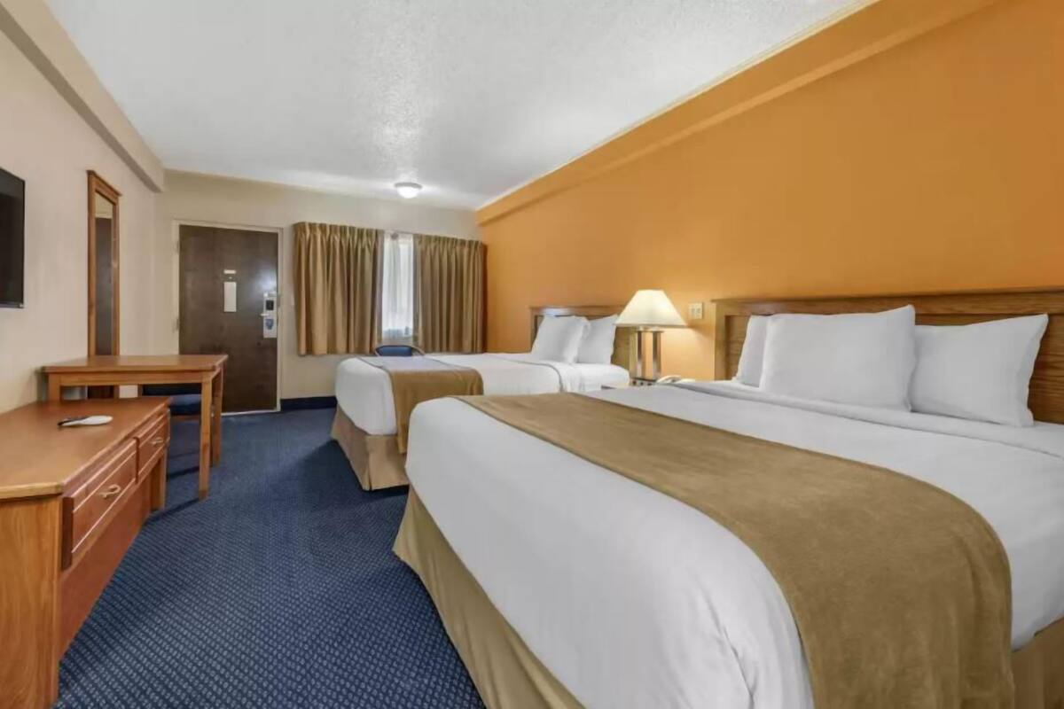 Standard Single Room, 1 King Bed | 書桌、熨斗/熨衣板、免費無線上網、床單