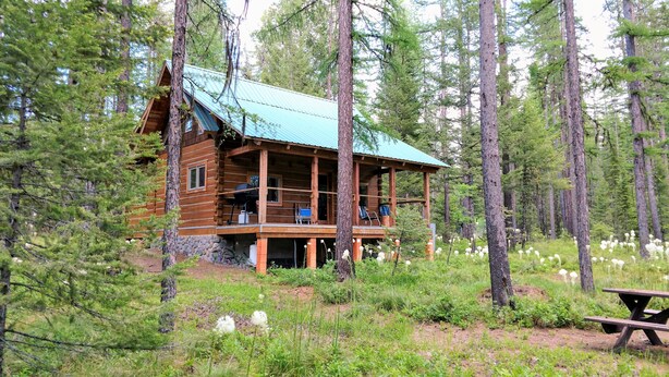 A wooden cabin with a porch, surrounded by tall trees and a picnic table. - Beyersfort next to Cygnet Lake - Sleeps 5, Private Dock w/ Canoe, No Wi-Fi (Condon)