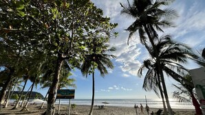 Una playa con palmeras, un cartel y el océano al fondo.