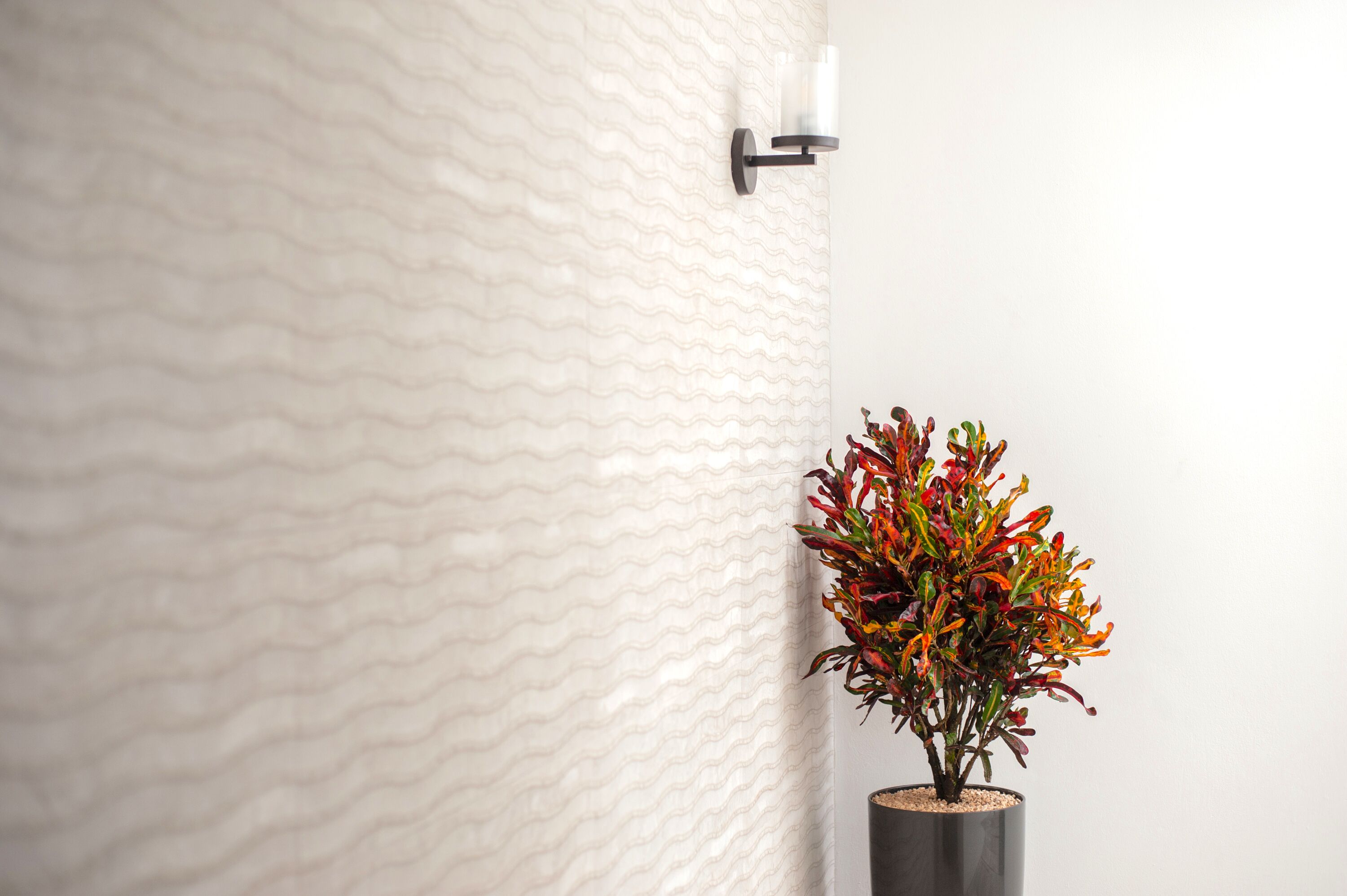 A textured wall with a potted plant and a wall-mounted light fixture.