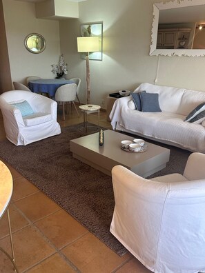 Smart TV, DVD player, books, stereo