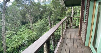 Cabin Treehouse in the Hawaiian Cloud Forest