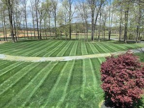 Niet-geclassificeerde afbeelding, 2 van 9, knop