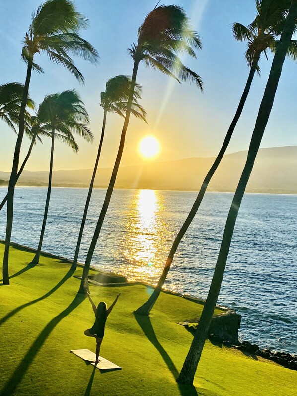 A person practicing yoga on a grassy area with palm trees and a view of the ocean at sunset.