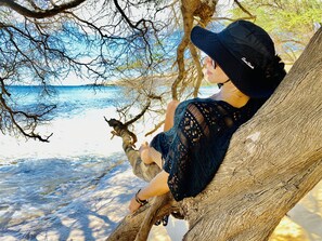 ビーチ、サンラウンジャー、ビーチタオル