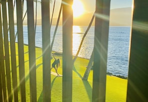 A person on a yoga mat practicing yoga on a grassy area near a body of water, with a sunset in the background.