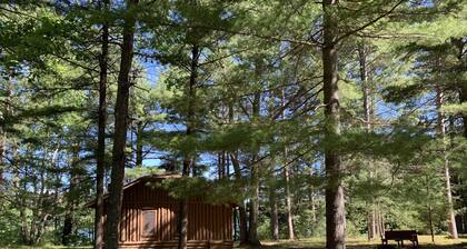 Two Lake Cabins and five bedrooms with wifi kayak, swim and fish