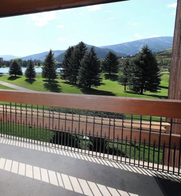 Un balcone con vista su un parco, alberi e montagne.