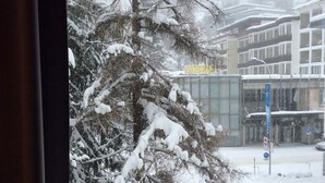 A snowy scene with a building labeled "CASINO" and a tree covered in snow. - WEF Business Apartment (Davos)