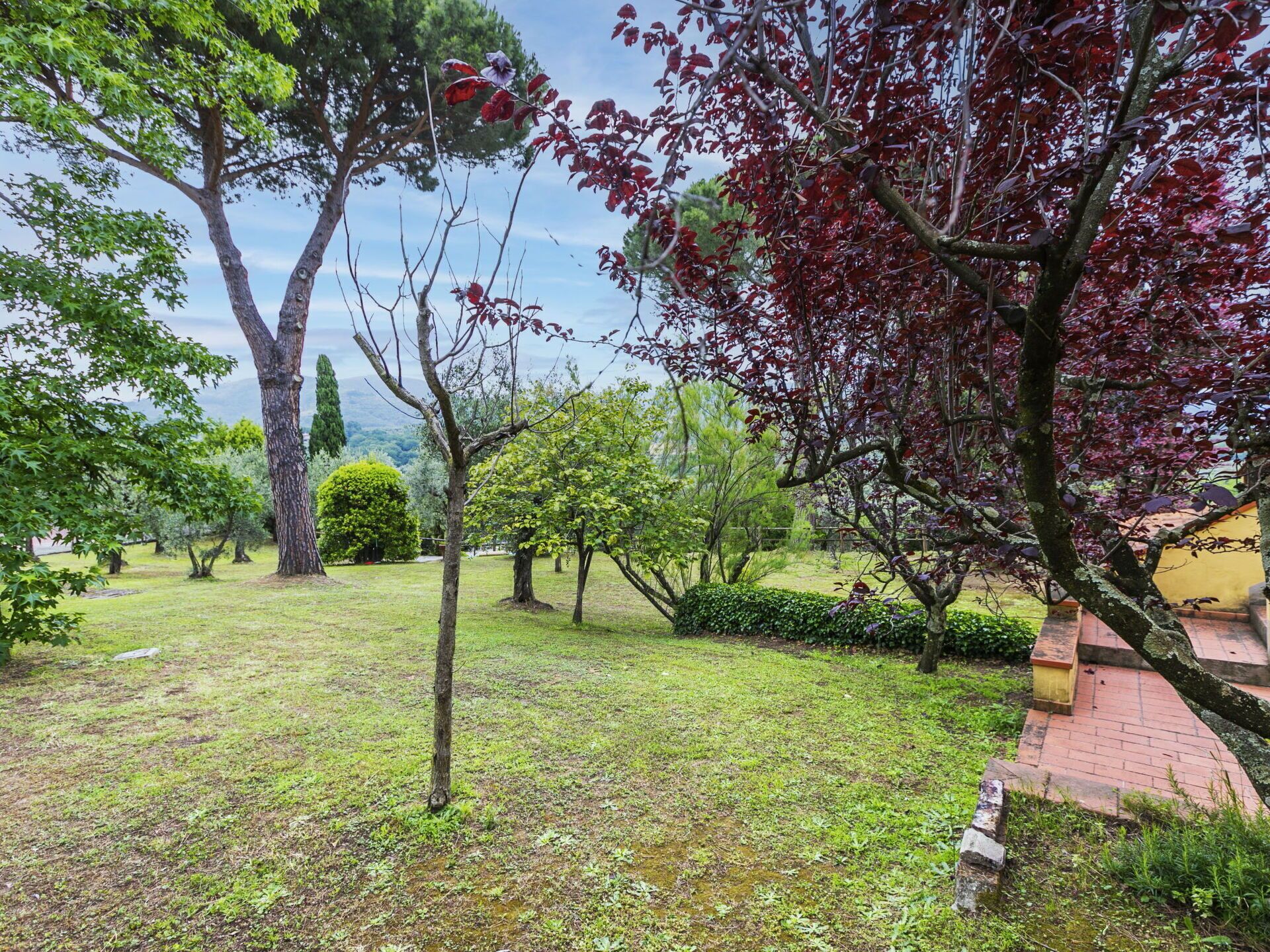 A garden with various trees and a brick pathway.