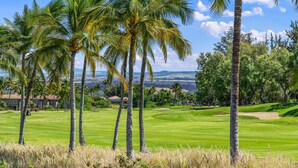 Um campo de golfe com palmeiras, um green bem cuidado e vista para montanhas ao longe.