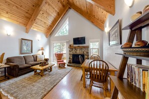 TV, fireplace, books