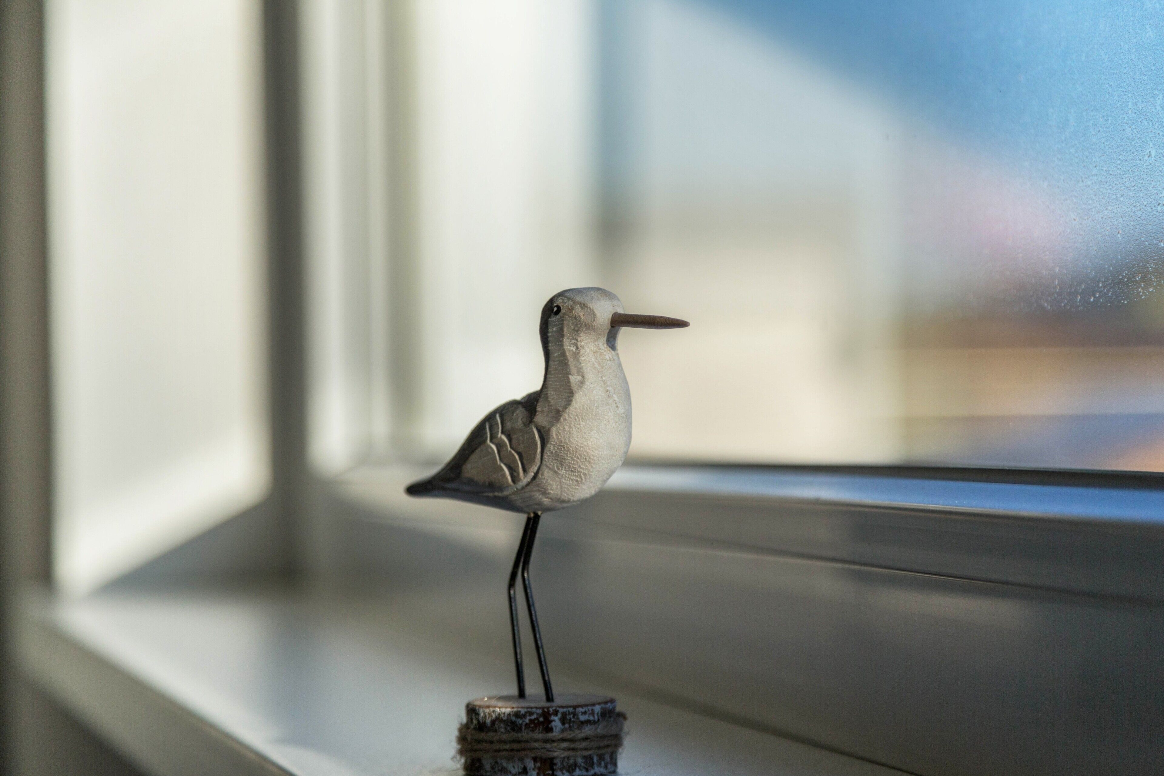 Een vogeltje op een voetstuk, bij een raam.