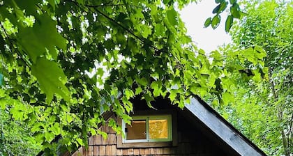 The Cozy Cabin: Shabby Chic & Totally Tranquil