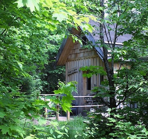 Una cabaña de madera con el letrero 'The Cabin' rodeada de follaje verde denso.