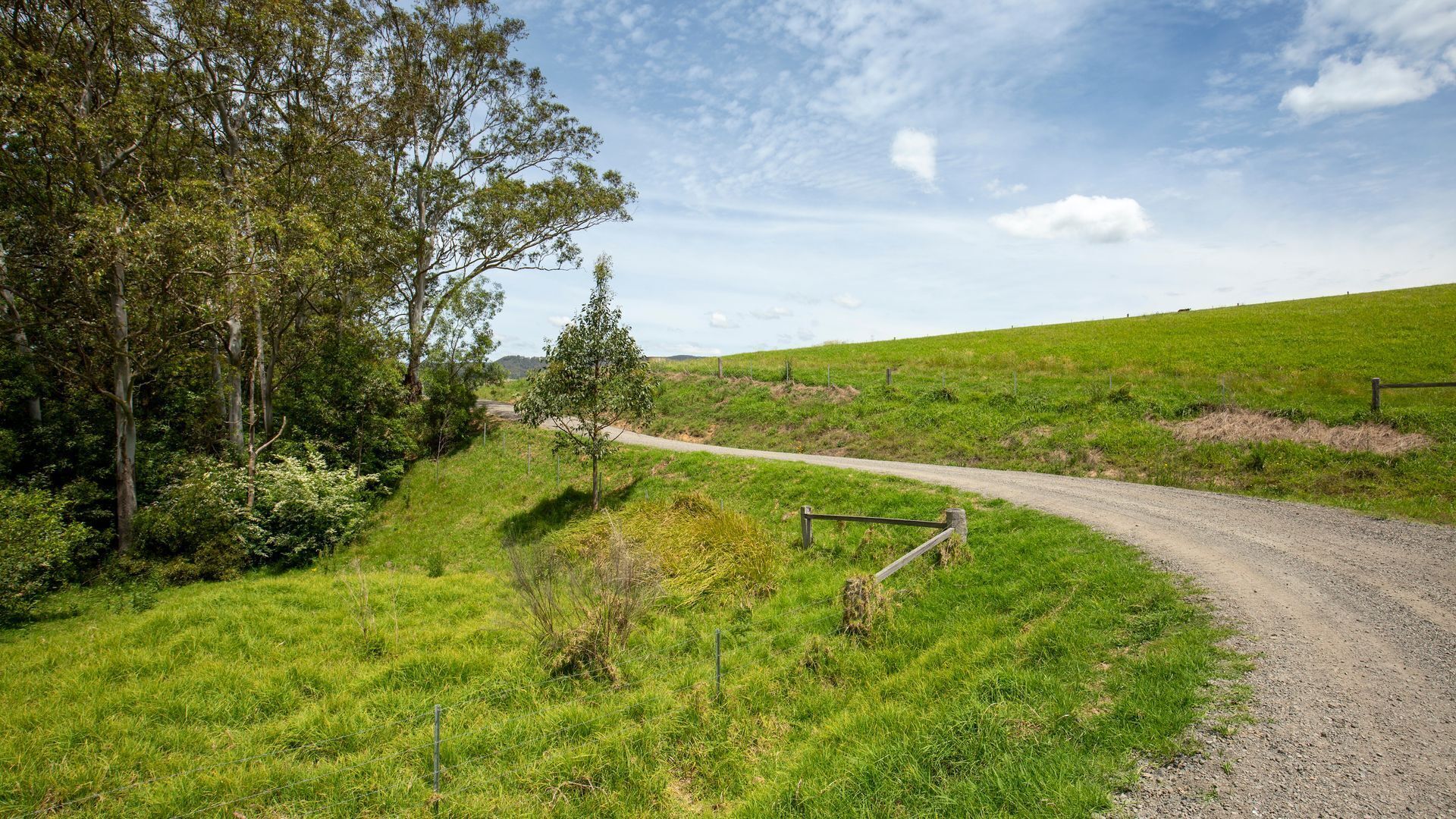 Eine Landstraße schlängelt sich durch ein saftiges Feld, gesäumt von Bäumen und einem Zaun.