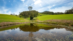 Un paisaje sereno con un estanque que refleja el cielo y la vegetación circundante, un edificio pequeño a lo lejos, y colinas onduladas.