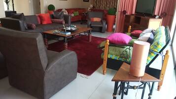 TV connectée, cheminée