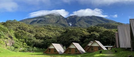 Tenda Standar, Beberapa Tempat Tidur, pemandangan gunung, tepi gunung | Pemandangan gunung