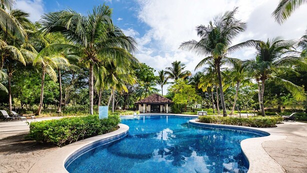 A swimming pool with a curved edge, surrounded by palm trees and a small pavilion.