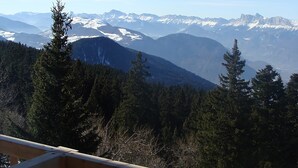 Eine Berglandschaft mit schneebedeckten Gipfeln und dichten Wäldern.