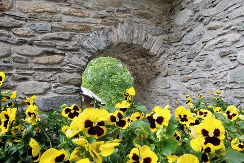 Studio 'Su 2 Livelli' with Mountain View, Shared Garden and Wi-Fi