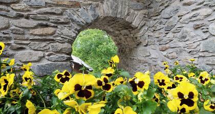 Studio 'Su 2 Livelli' with Mountain View, Shared Garden and Wi-Fi