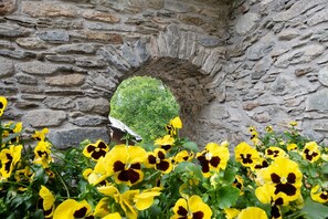 Detalle exterior