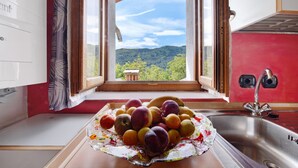 Una cocina con un frutero sobre la encimera, una ventana con vistas a una montaña y una pared roja.