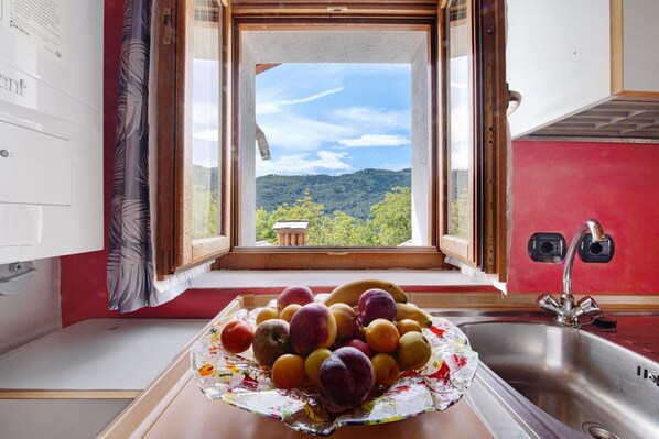 A kitchen with a fruit bowl on the counter, a window with a view of a mountain, and a red wall.